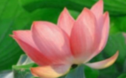 һ�꼉(j��)��(xi��)�����ģ����պɻ�
