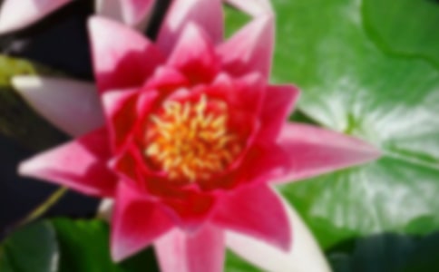 �P(gu��n)�ںɻ����i�Z(y��)