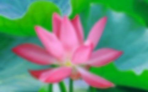 ���P(gu��n)���꼉�ɻ������ąR��6ƪ