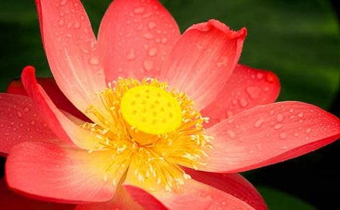 �茑�ɻ���(y��u)���ĳ��Z