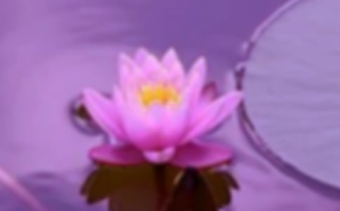 ���C�~�M���