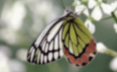 �۷�ͺ������ģ�ͨ��19ƪ��