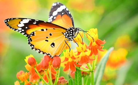 �P(gu��n)�ں����i�Z