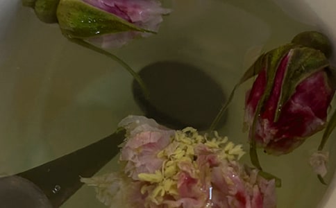�P(gu��n)�ڻ���ľ��ӣ�ͨ��240�䣩