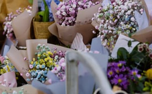 �c�������P(gu��n)�Č�(li��n)