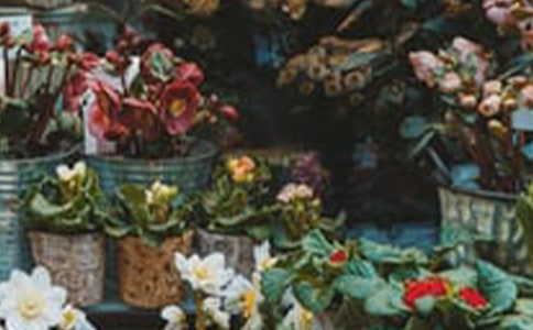 �o����Č�(du��)(li��n)80��