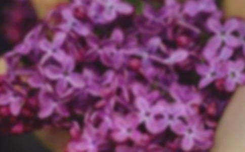 ����Ļ���