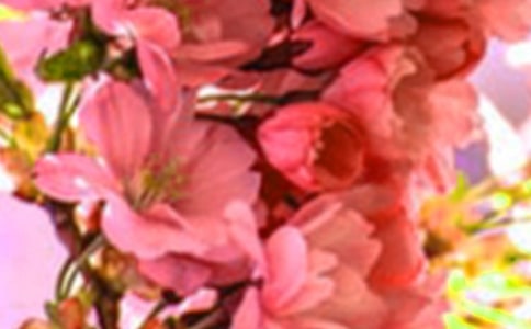 ���L(zh��ng)�Ļ���