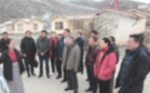 ���Ӹɲ�Մ�l(xi��ng)�����d�ĵ��w��