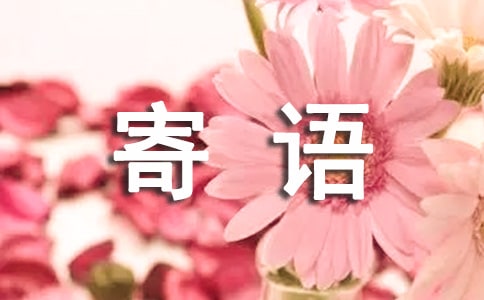 �P(gu��n)�چ��w֮ϲ���Z(y��)��ͨ��200�䣩