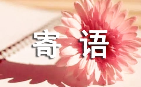 ��һ�����ļ��Z(y��)
