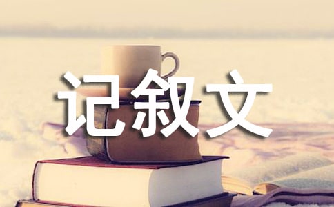 ���ܵ�ӛ����