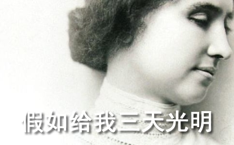 �x������o������������иУ����ϣ�