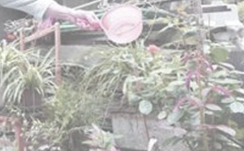 ����һ�꼉���ģ����x30ƪ��