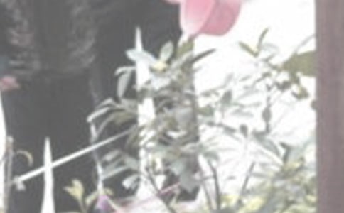 ���꼉(j��)�����Ć�ʾ���ģ����x15ƪ��