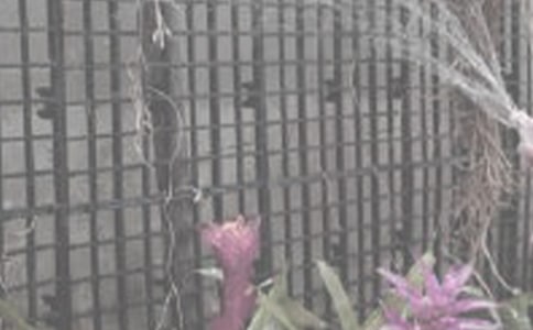 �F(xi��n)���ĝ�����x�}