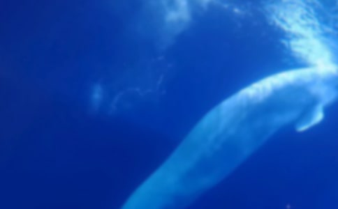 �L�~������