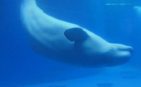 �L�~������
