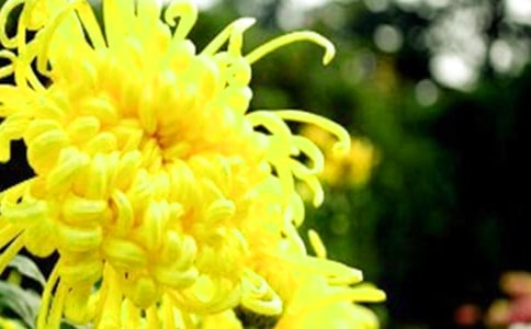 �ջ����i�Z��ȫ����