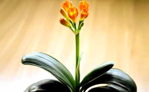 ���о��ӡ��������m