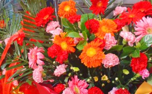 �µ��_(k��i)������ף���Z(y��)��ȫ