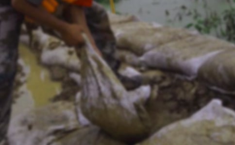 ����Ȟ�(z��i)�����ĵ��w��(hu��)