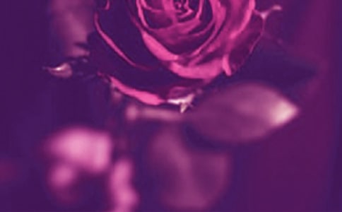 ��΢΢һЦ�܃A�ǡ����������_(t��i)�~100��