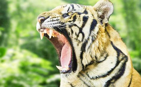 �P���ϻ����i�Z�����x110�䣩