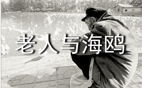 ���꼉�������c���t���x���700��