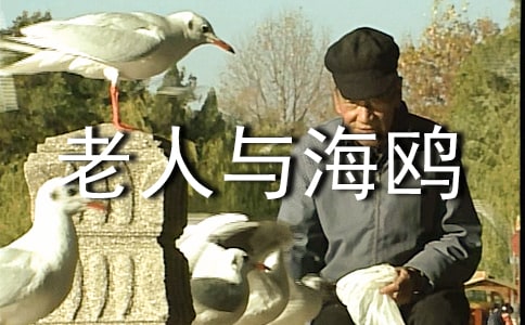 ���꼉�Z���ԡ������c���t���̌W(xu��)��˼