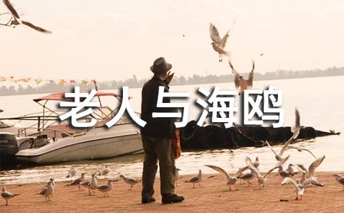 �������c���t��С�W(xu��)�����꼉(j��)�x���