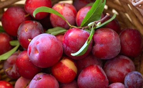 ��ϲ�g���l(xi��ng)������