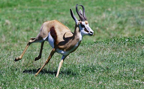 �x��������Ĺ�ݡ��и��������p