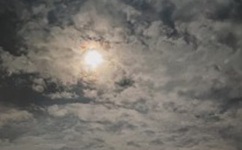 ���꼉�W(xu��)���������賿���c(di��n)�롷�x���350��
