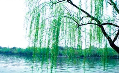 ���P(gu��n)������꼉(j��)����300�ֺϼ�10ƪ