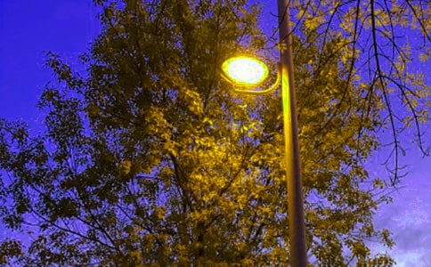 �t�G����·��