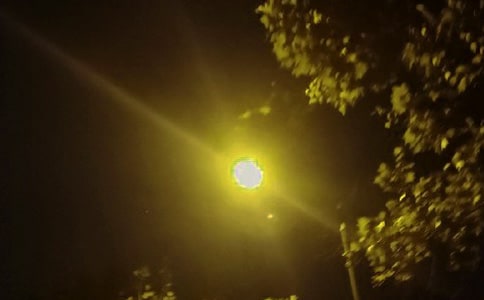 ·����ʲô�ı�����
