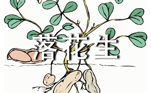 ���꼉�σ��Z�ġ��仨�����̌W(xu��)��˼
