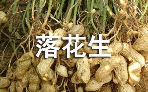 [��]�仨���x���