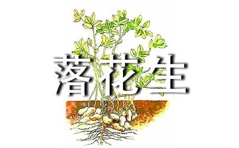 ���仨���뵽��