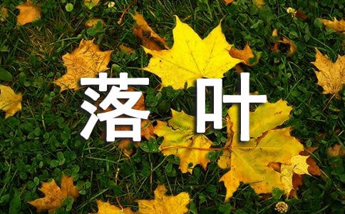 ���~