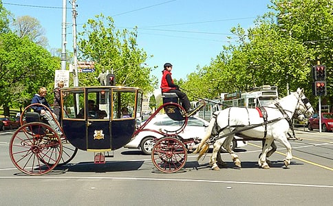 �݂�������ͯԒ�е�С�R܇�������_