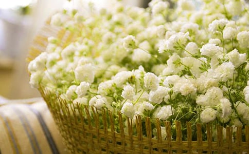 �M���Ƕ��꼉����