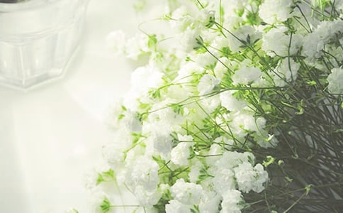 ��ֻ��һ��M���ǳ�����������