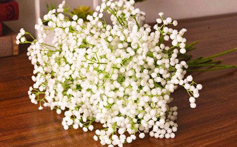 �M���Ƕ����Z