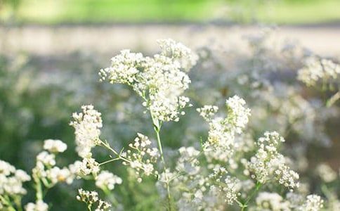 �M����