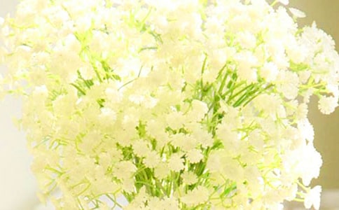 ��������M���ǹ��������