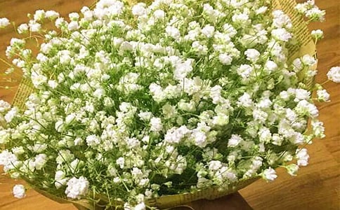 �M����