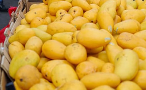 �i����â�����i�Z(y��)