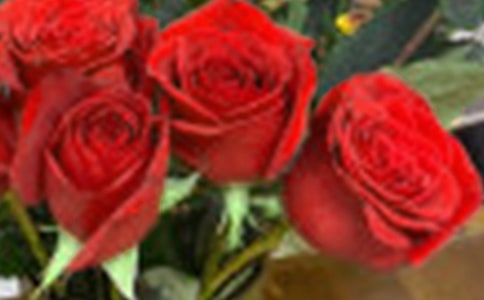 õ��ʹ�����ģ����x15ƪ��